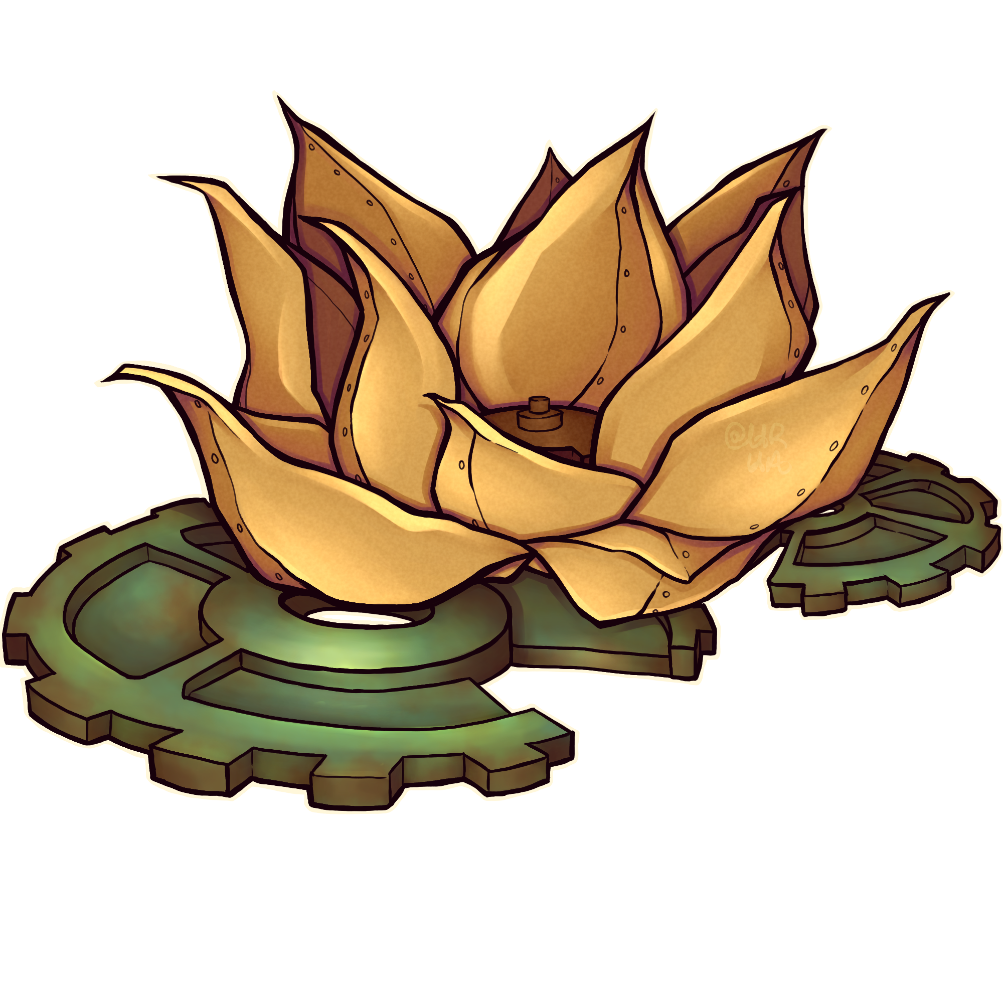 Lotus Cove